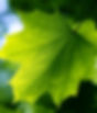 HN5907_edited.jpg
