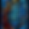 Wiindow138_edited_edited.png