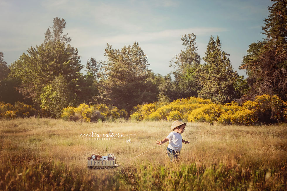 Children Cecilia Cabrera Photography