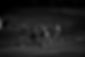 Banner2_edited.jpg