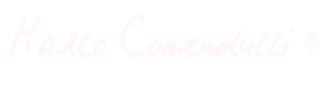 Logo per carta intestata bianco.png