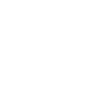 icône-whatsappB-whitepng.png