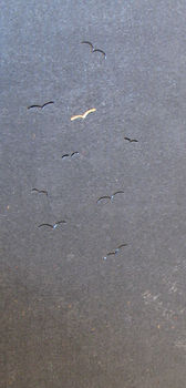 IMG_1135_edited.jpg