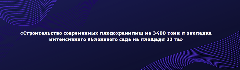 ООО Альфа плюс (описание).png