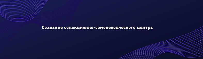ИПА ОТБОР (описание).png
