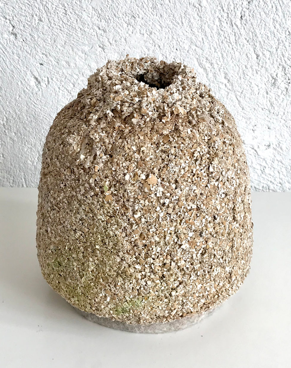 coquille:avril
