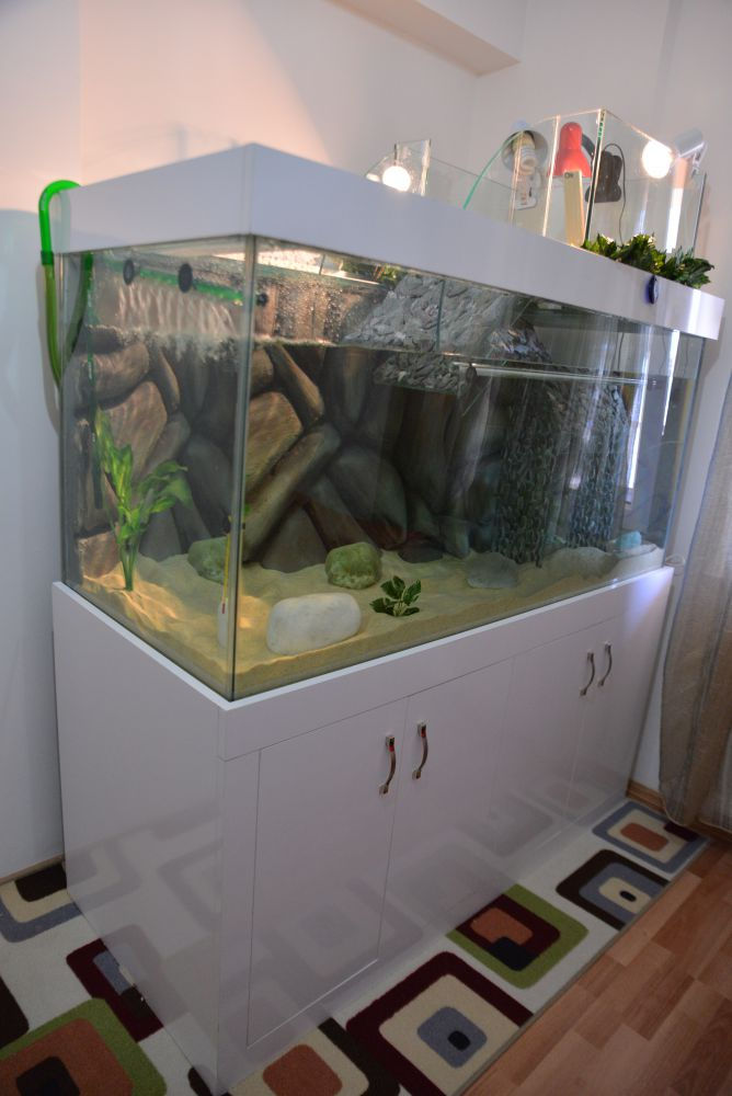 Su Kaplumbağası Akvaryumu 140 cm