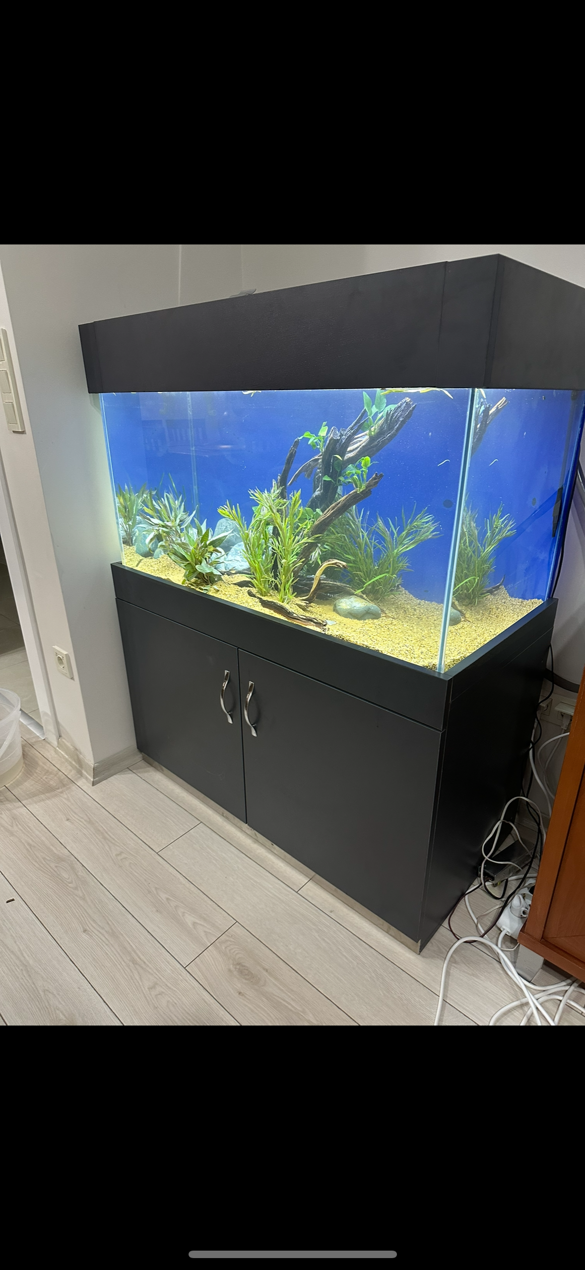 Mobilyalı Akvaryum Modelleri 