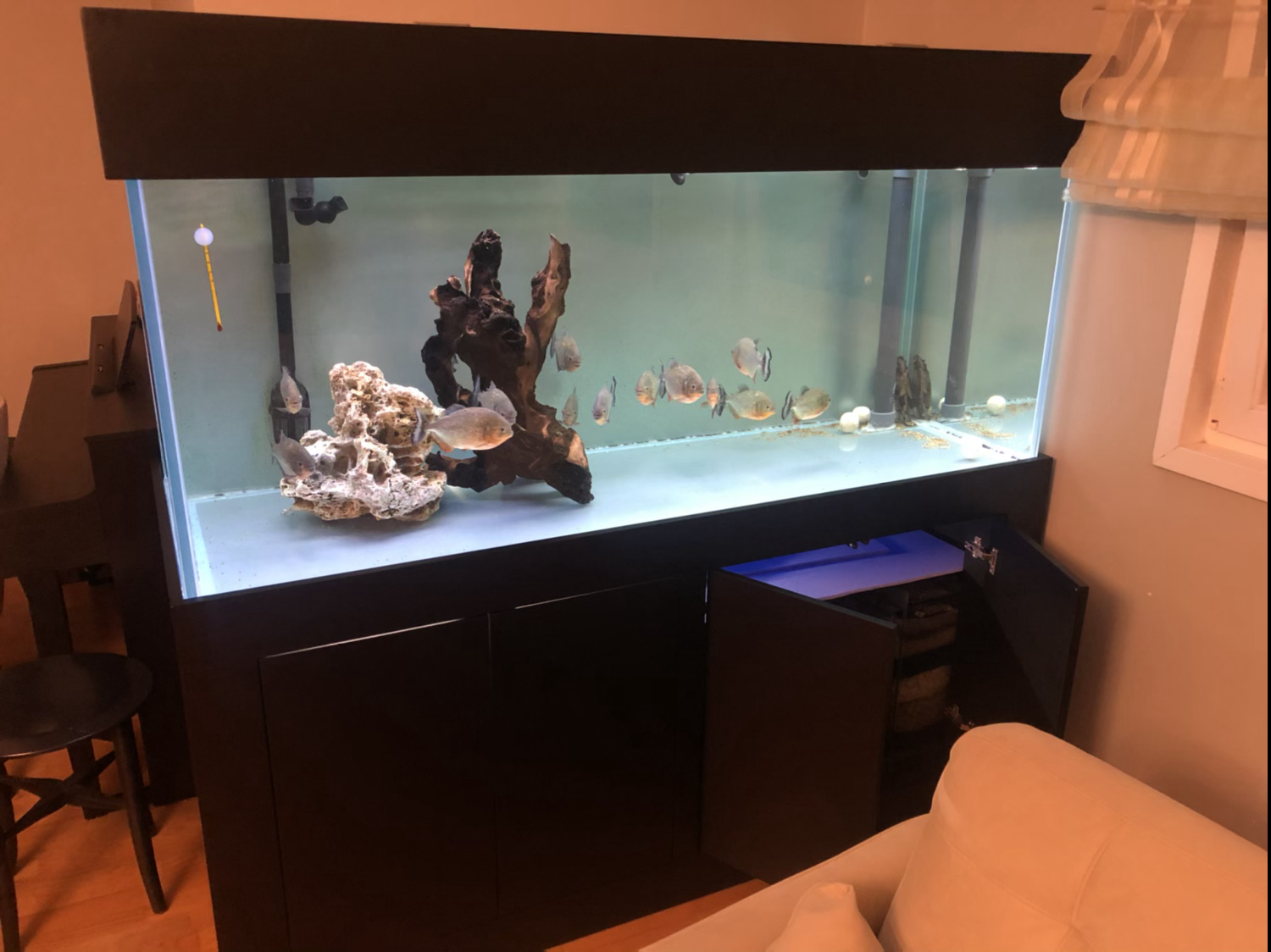 Mobilyalı Akvaryum