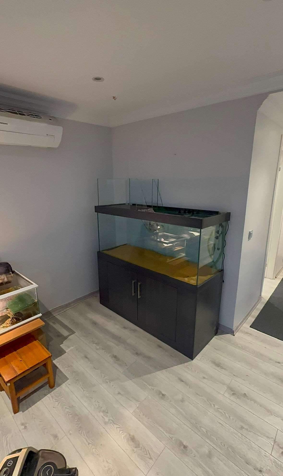 Kaplumbağa Akvaryumu  