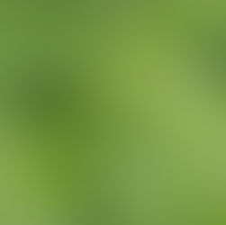 What is CBD?