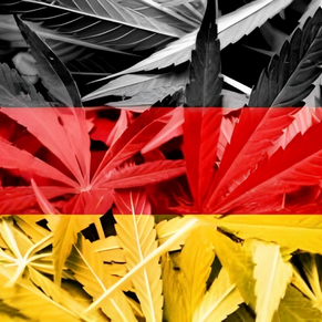 Sobre la situación de la legalización del cannabis en Alemania.