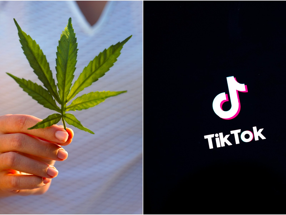 Tik Tok, Generación Z y el Cannabis