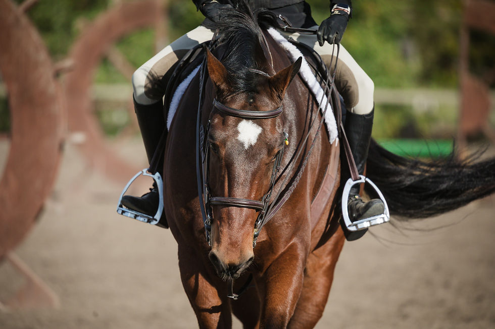 20241019_Kya-Photography-Equestrian-Photographer-Bend-Oregon_0022.jpg