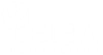 Leiba Logo White.png