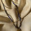 Thumbnail: Collier pierre naturelle Lapis Lazuli 