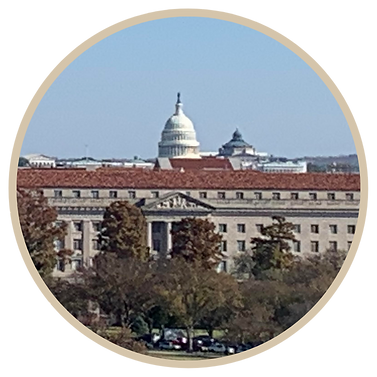 About Pic Marcus (9).png