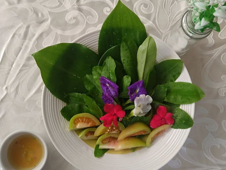 Insulin Cocktail and Fresh Garden Salad Recipe