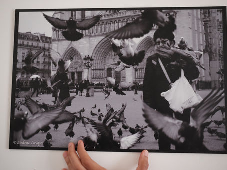 TEST : Saal Digital's Framing