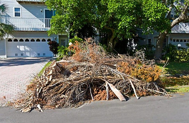 Landscapiong debris removal