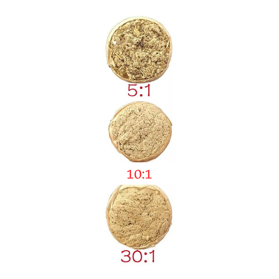 Miniatura: Puro de Moxa (artemisa) 5:1