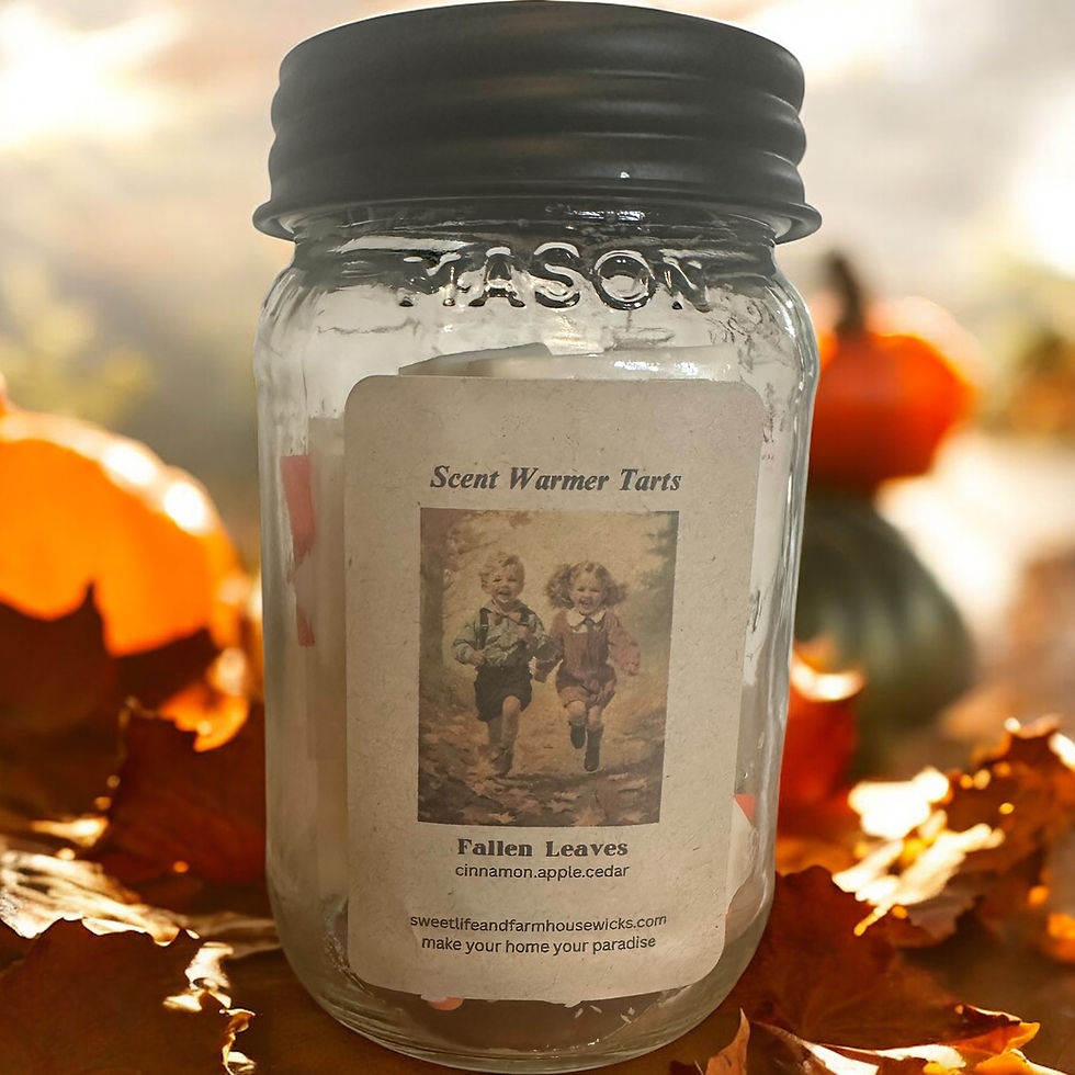 Thumbnail: Scent Warmer Tarts in a Jar