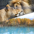 photo-output.heic