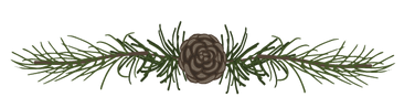 Pine Spruce Branches 5