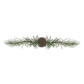 Pine Spruce Branches 5