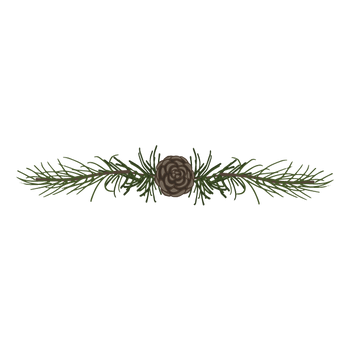 Pine Spruce Branches 5