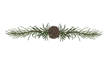 Pine Spruce Branches 5