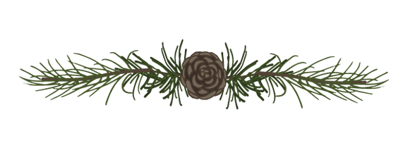 Pine Spruce Branches 5