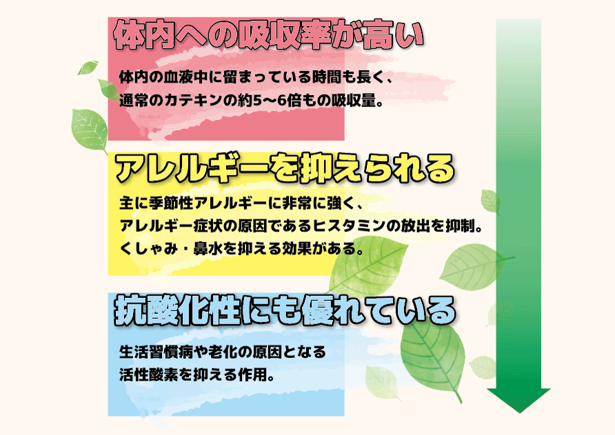 「メチル化カテキン」期待される効果と効能Web用.png