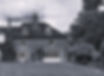20250530_161426.JPG