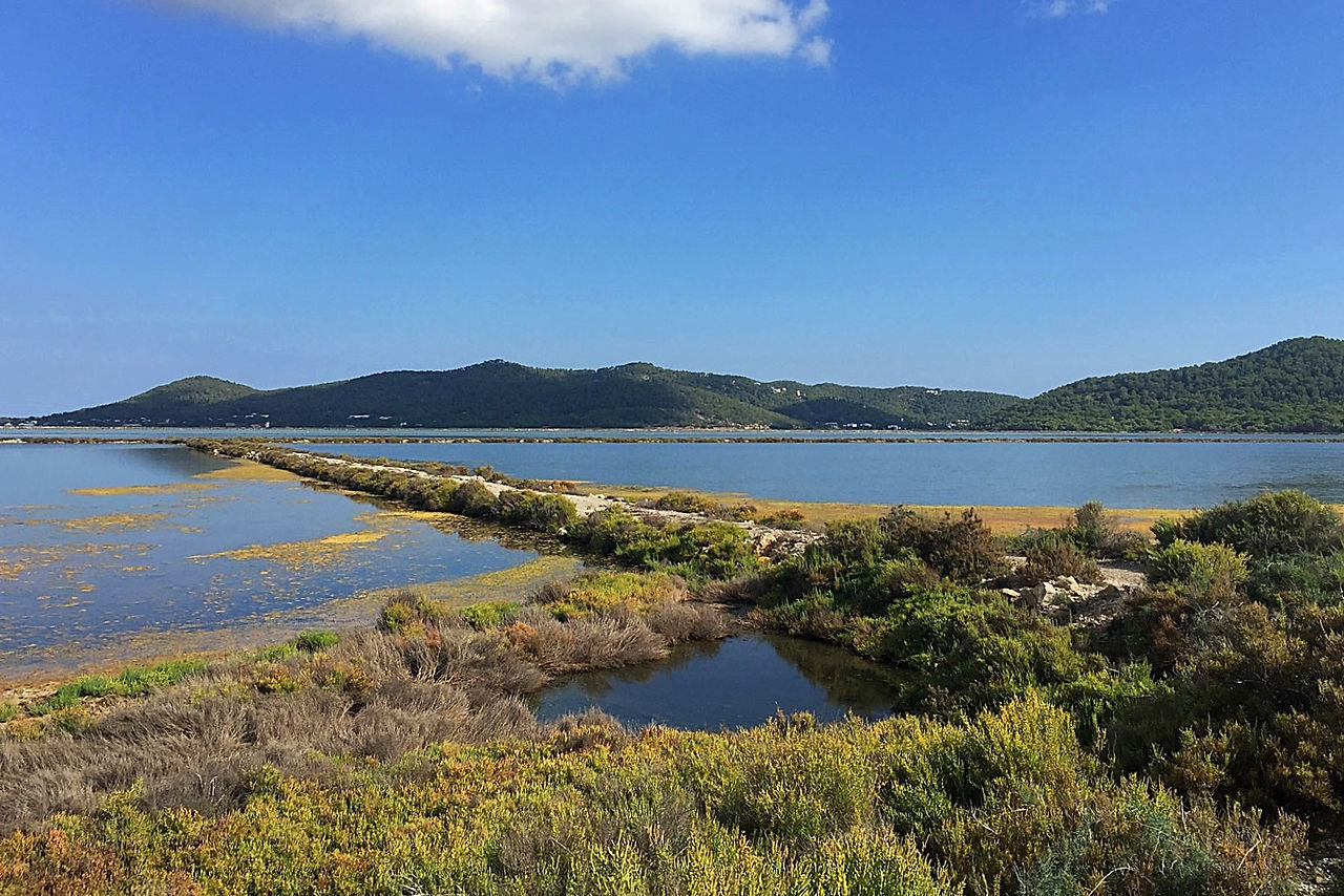 Parque Natural de Ses Salines