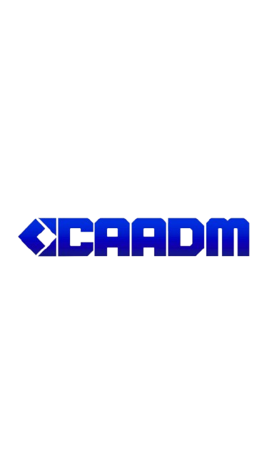 Processo Eleitoral CAADM
