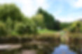 Stream 3 2009.jpeg