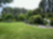 End paddock 2023.jpeg