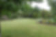 Front garden 2021.jpeg