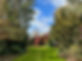 Side garden 2022.jpeg