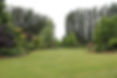 Front garden 2022.jpeg