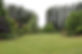 Front garden 2022.jpeg