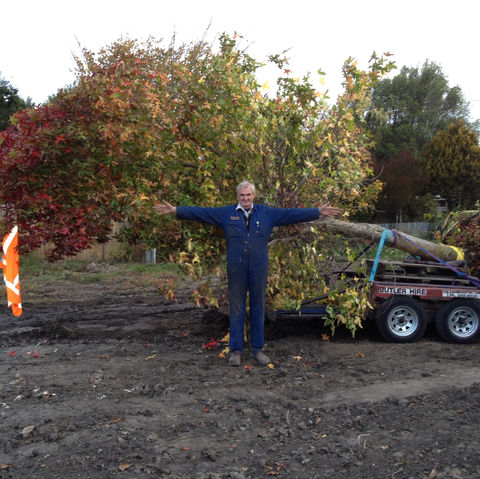 15 Transplanting with Chris 2013.jpeg