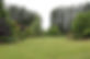Front garden 2022.jpeg