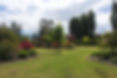 Front garden 2015.jpeg