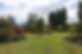Front garden 2015.jpeg