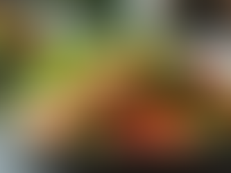 Unlocking Success: Why Customized Medical Weight Loss Programs Yield Better Results