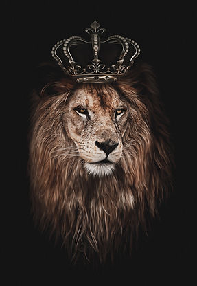 Le roi lion