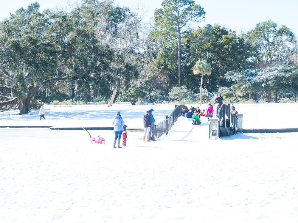 snow sledding Hampton Park