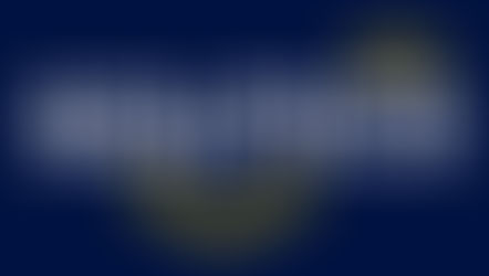 Guy Shemer VP Product at Solitics, Solitics Launches In-Game Pulse for Live Betting Boost